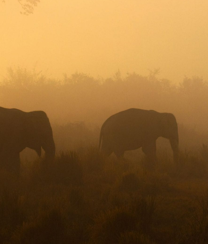 Our Planet Live In Concert