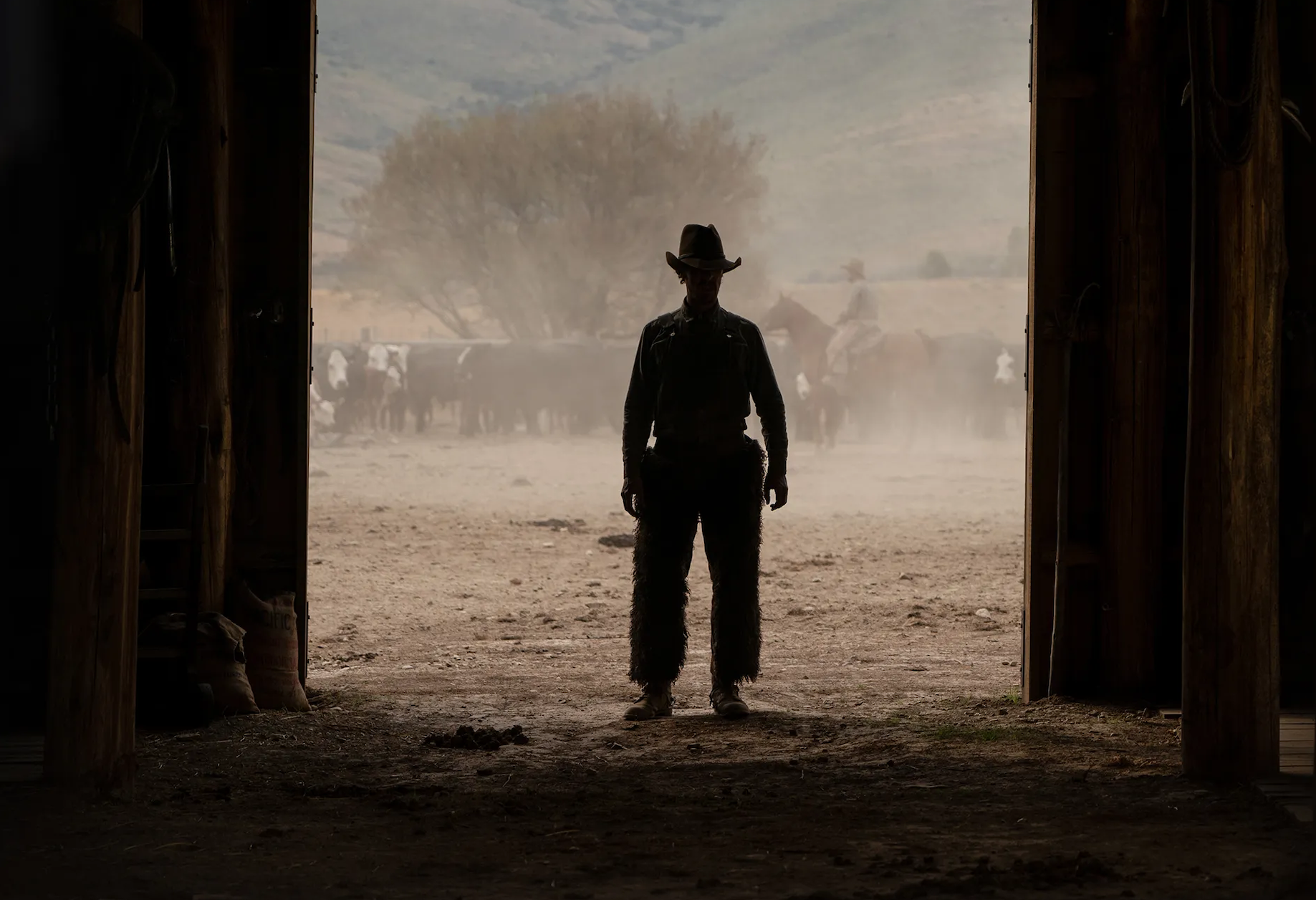 The Power Of The Dog